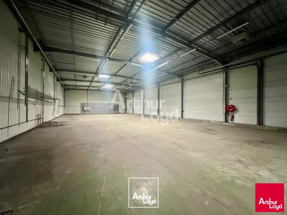 BETTON - LOCAL D'ACTIVITE A LOUER 8 700m² 