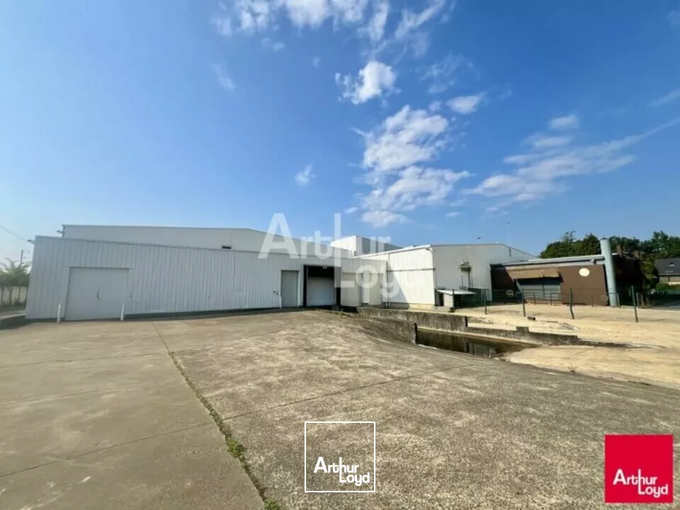 BETTON - LOCAL D'ACTIVITE A LOUER 8 700m² 
