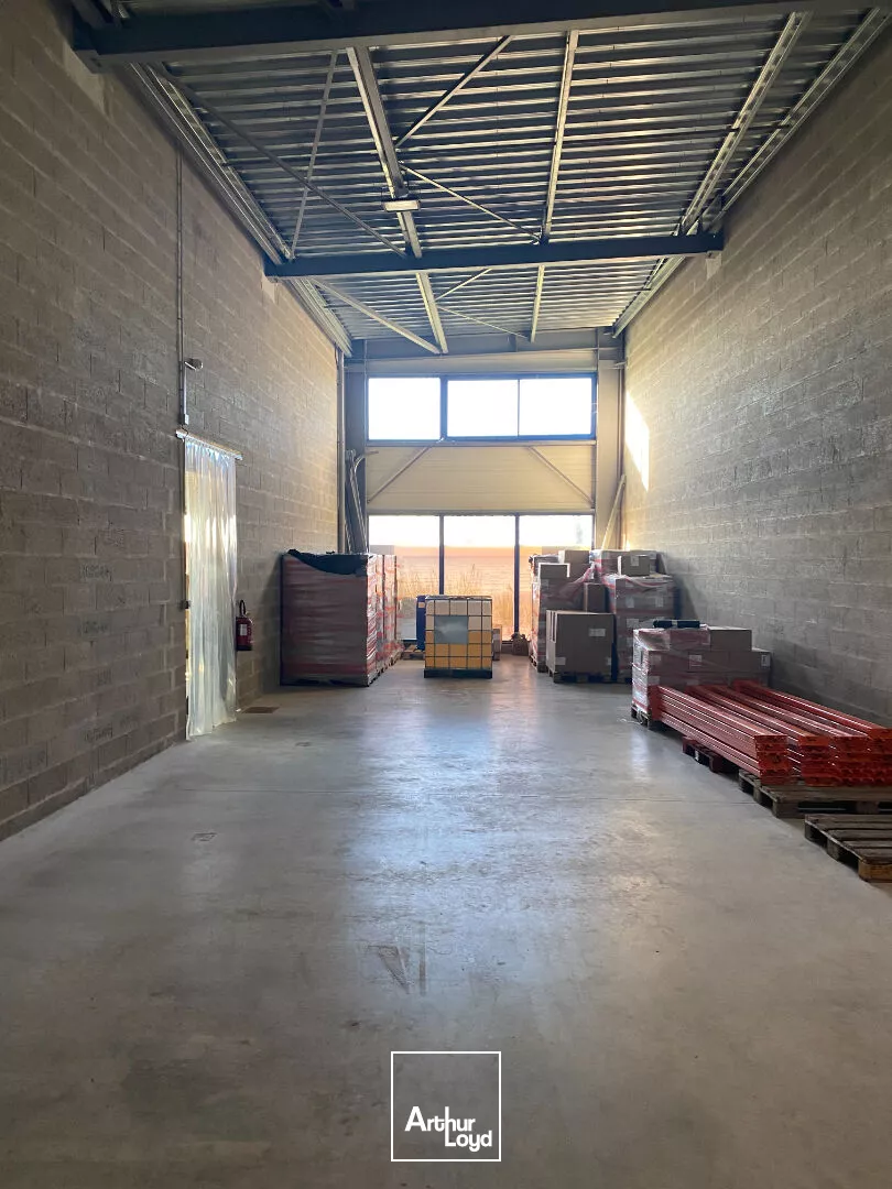 A louer Local d'activité Salles Sur Mer 760 m2