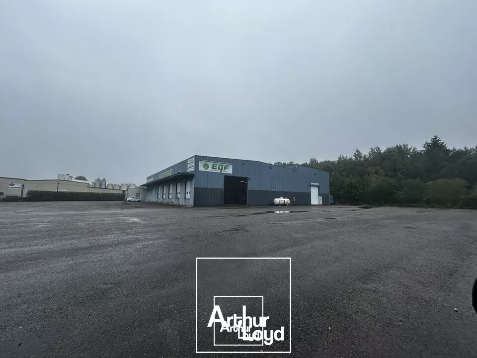 LOCAL D'ACTIVITE - ENTREPOT location à TULLE 19000