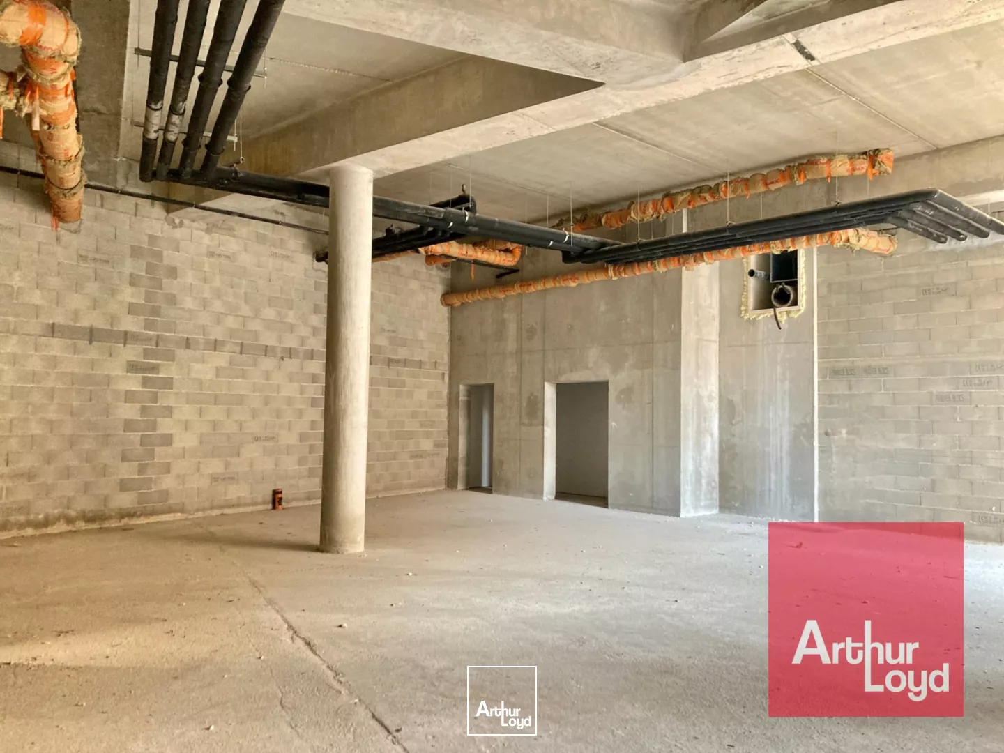 Locaux Commerciaux à Louer - NOUVEAU SAINT ROCH - Montpellier