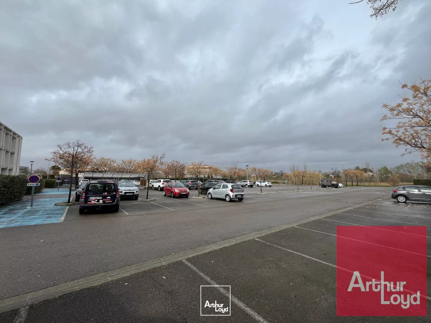 A LOUER BUREAUX PARC DE L'AEROPORT PEROLS - PROCHE TRAMWAY LIGNE 1