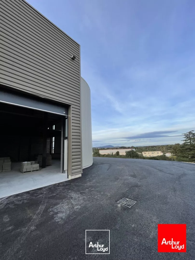 Local d'activité neufs à louer - Saint-Georges d'Orques