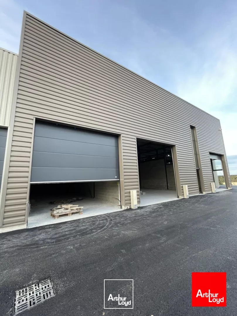 Local d'activité neufs à louer - Saint-Georges d'Orques