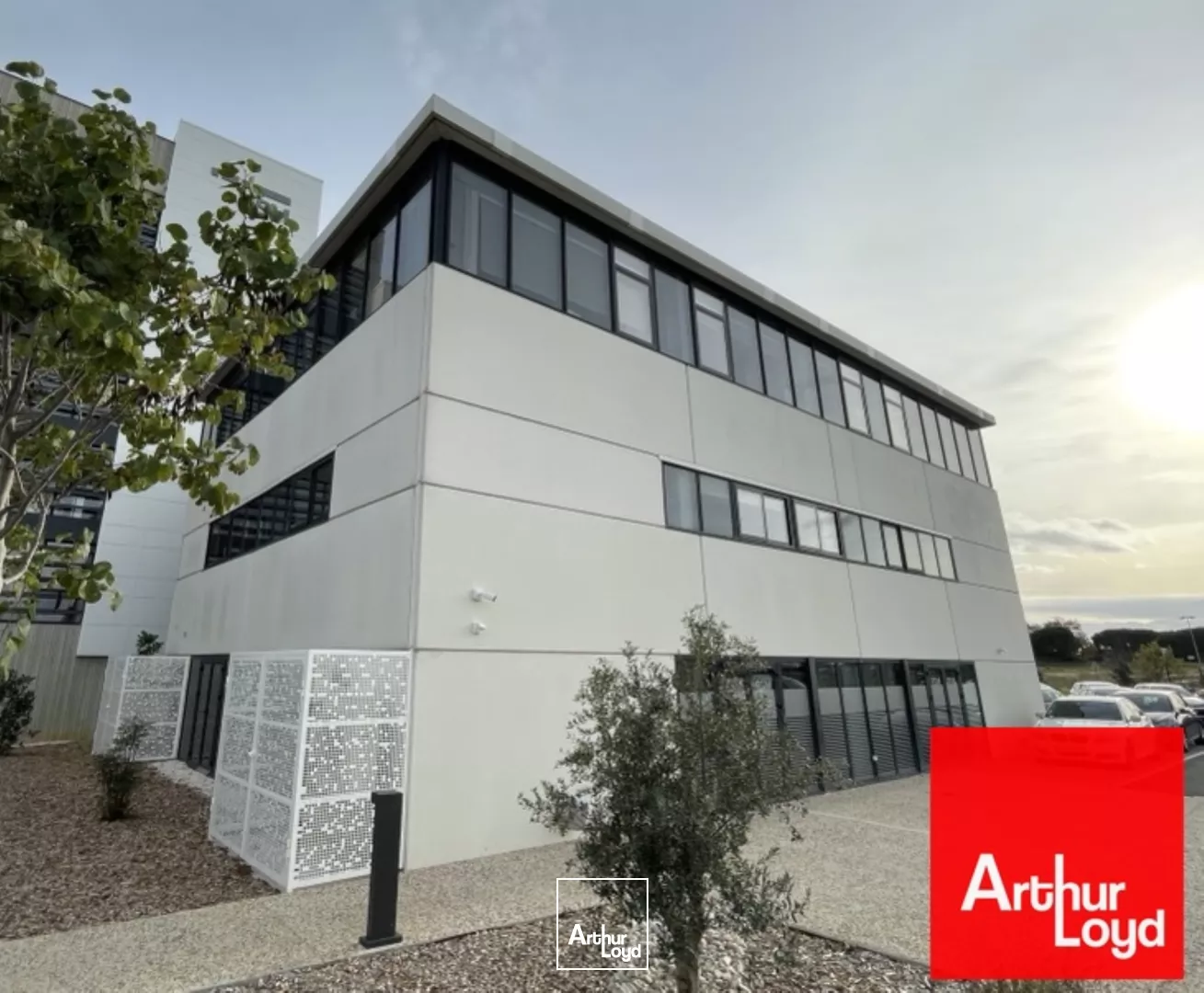 BUREAUX A LOUER 231 M2 - PEROLS PARC DE L'AEROPORT
