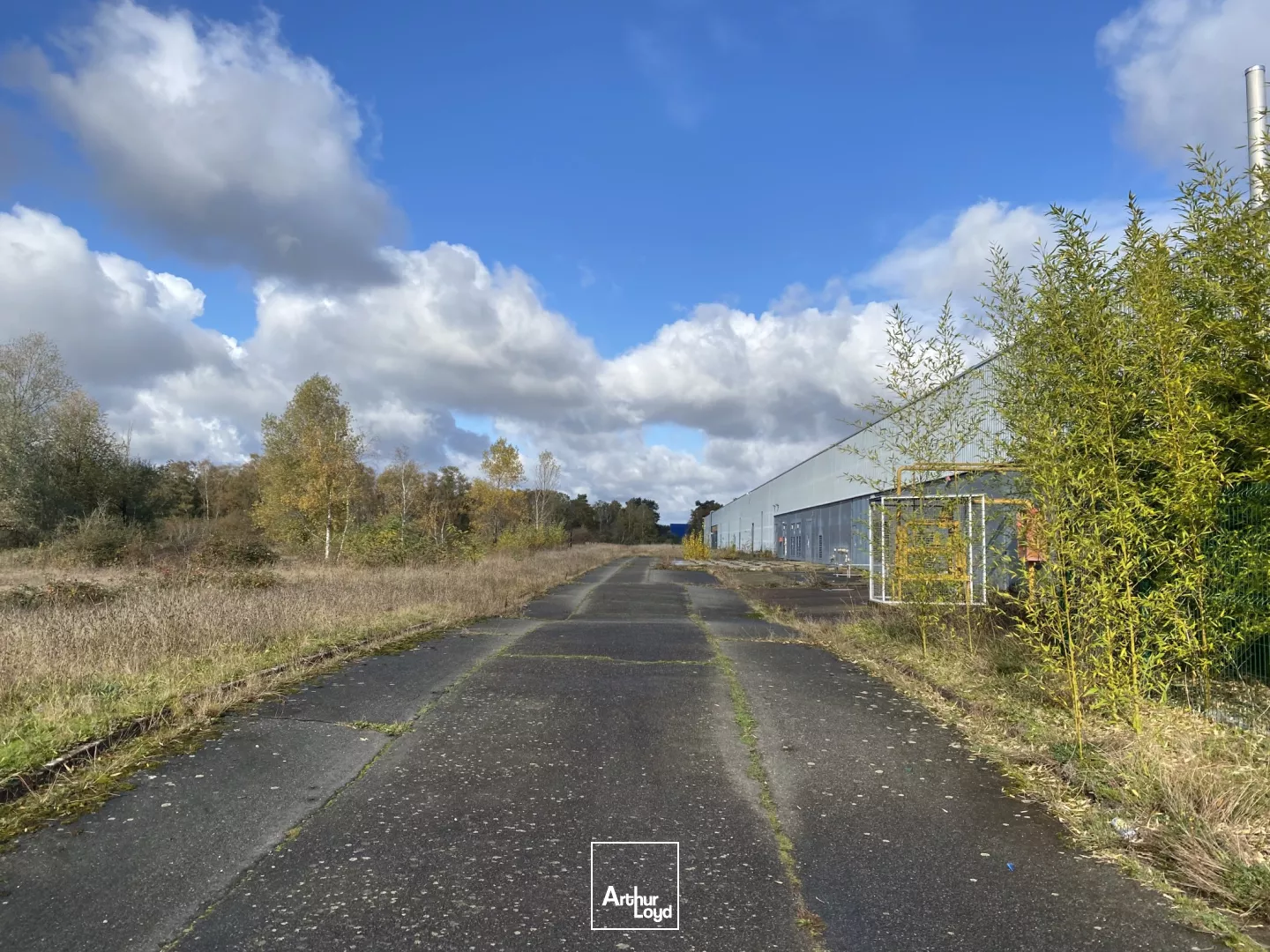 Bâtiment d'activités - 14 000 m2 divisible sur demande - Sud Métropole