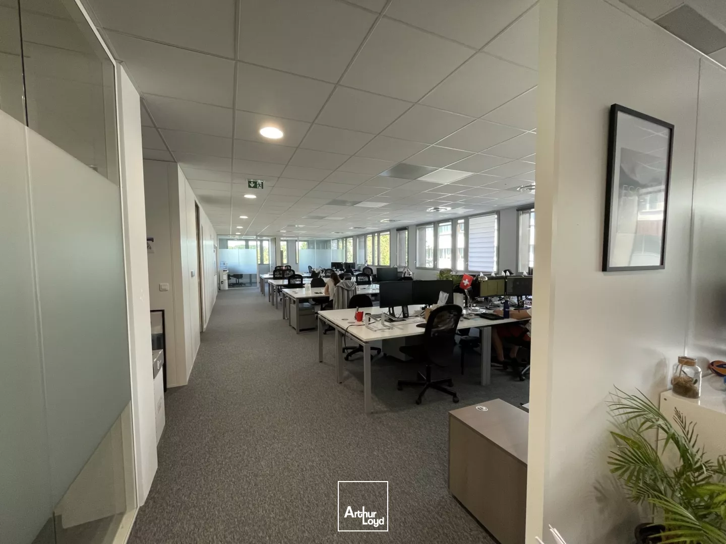 Bureaux à louer - MARCQ-EN-BAROEUL