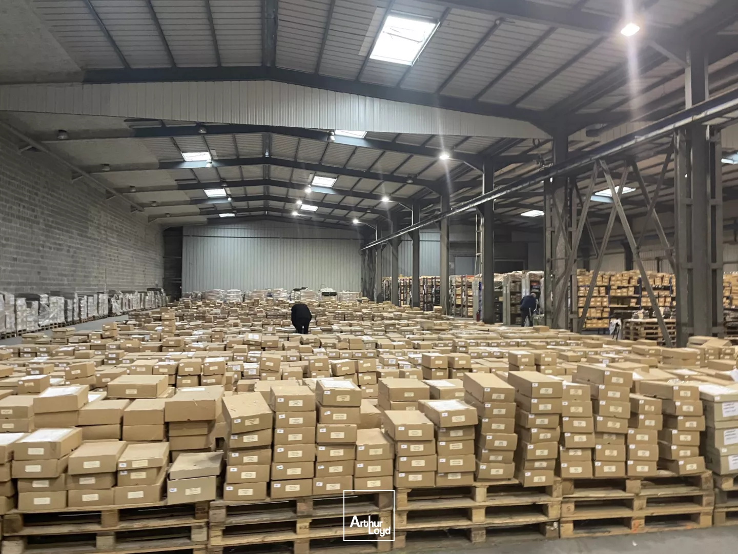 Entrepôts à louer - Arras