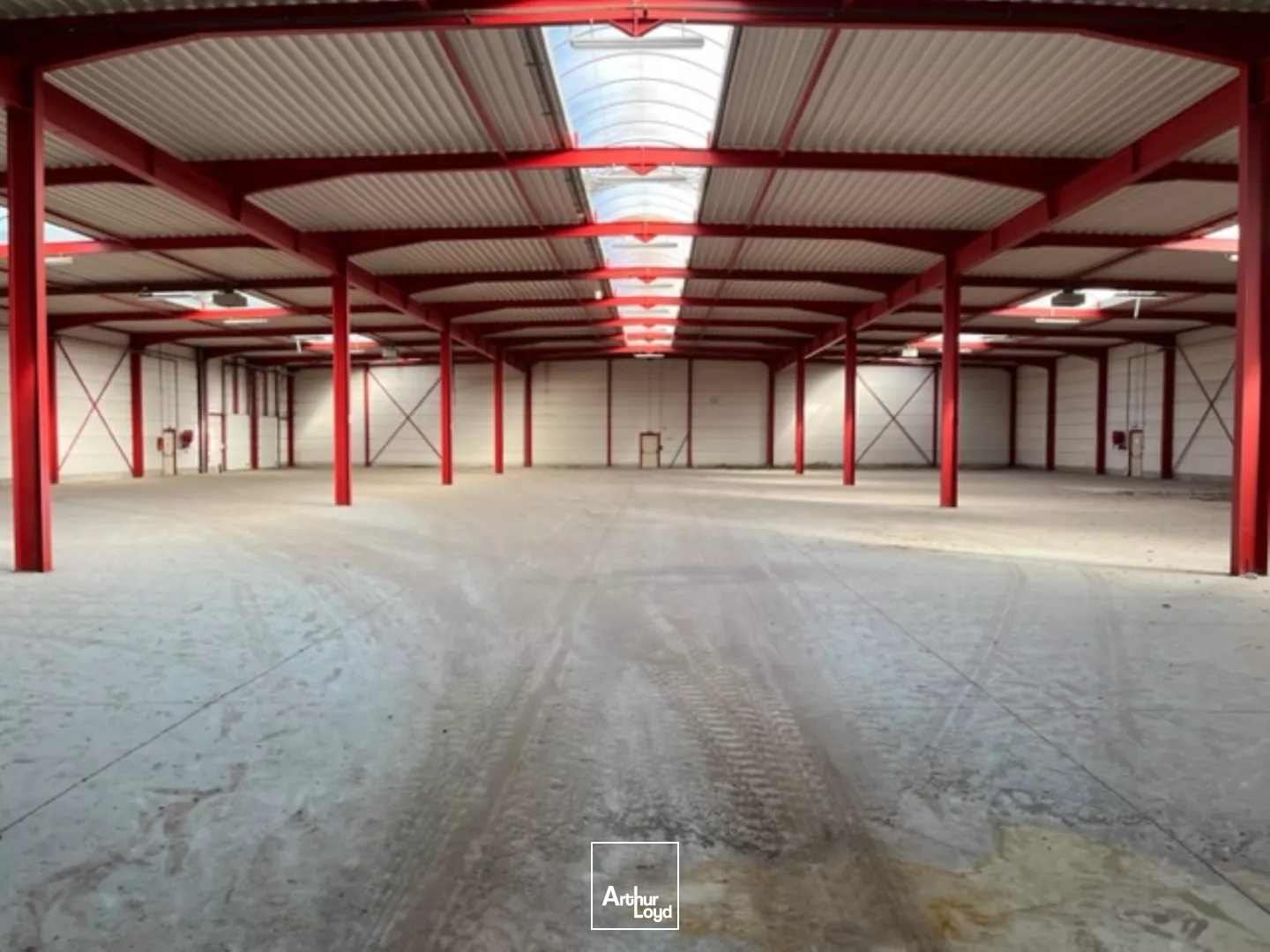 A vendre, A louer, Entrepôt avec quais, Halluin