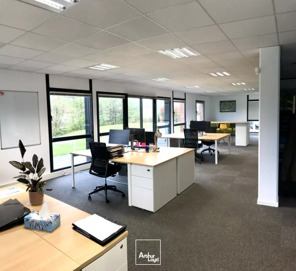 Bureaux à louer - Wambrechies - Rocade Nord-Ouest - Situé dans un environnement verdoyant et agréable, nous vous proposons à la location une belle surface de bureaux avec de très bonn...