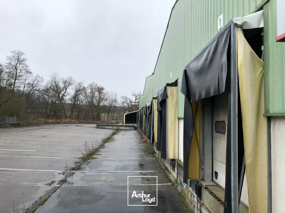 LOCAL D'ACTIVITE - ENTREPOT à LOUER de 4930 m²