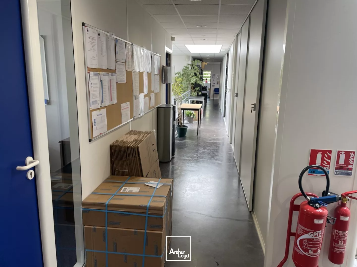 A Louer A vendre Entrepôt à Orchies