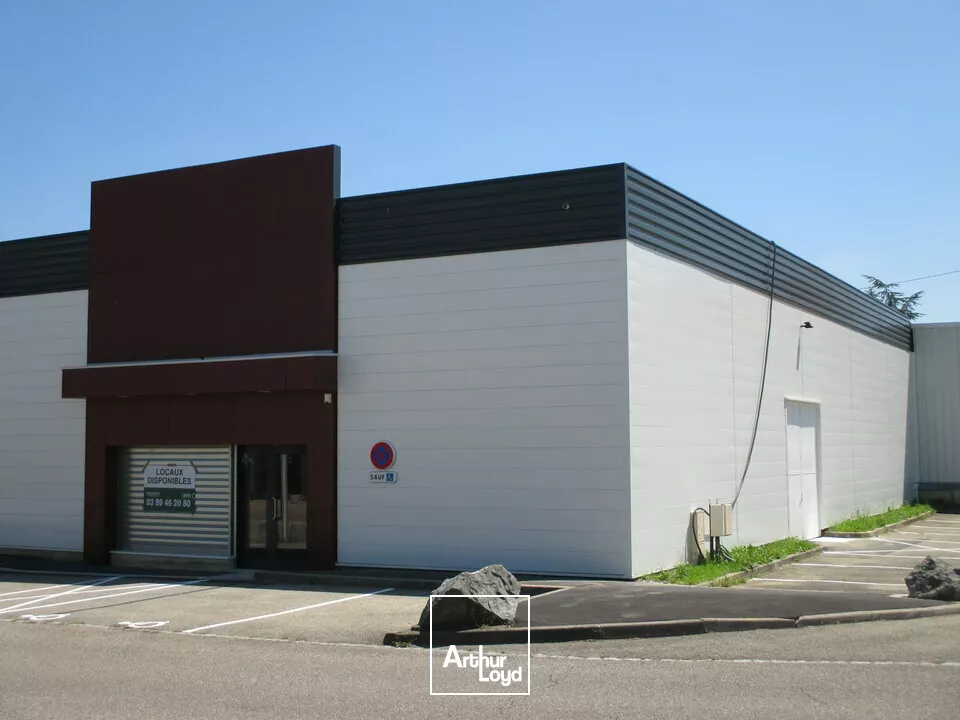 LOCAL COMMERCIAL à LOUER de 293 m²