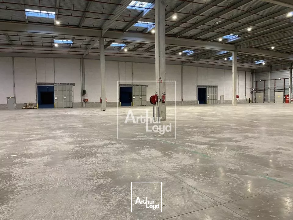Bâtiment logistique à louer - BONDOUFLE 