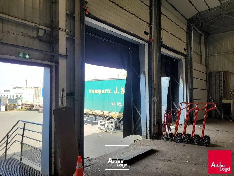 LOCATION LE MANS SUD LOCAL ACTIVITE 1570m² 3 quais