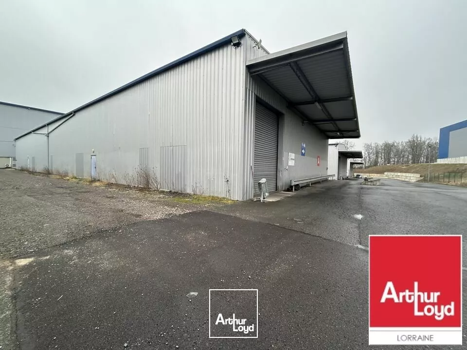 LOCAL D'ACTIVITE - ENTREPOT à LOUER de 1210 m²