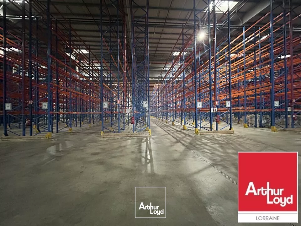 LOCAL D'ACTIVITE - ENTREPOT à LOUER de 4840 m²