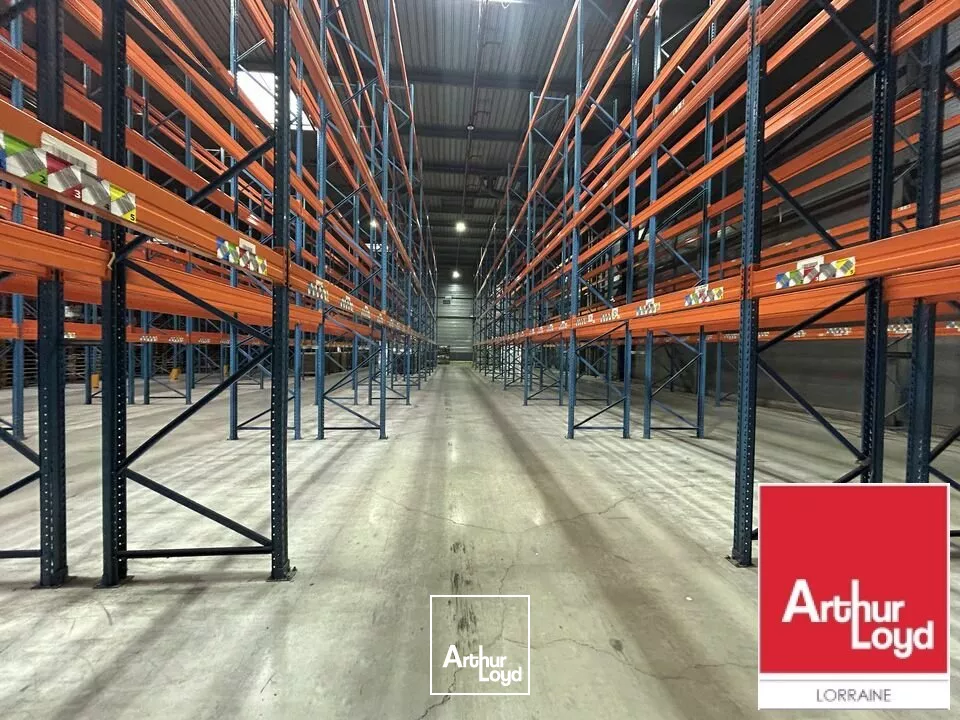 LOCAL D'ACTIVITE - ENTREPOT à LOUER de 4840 m²