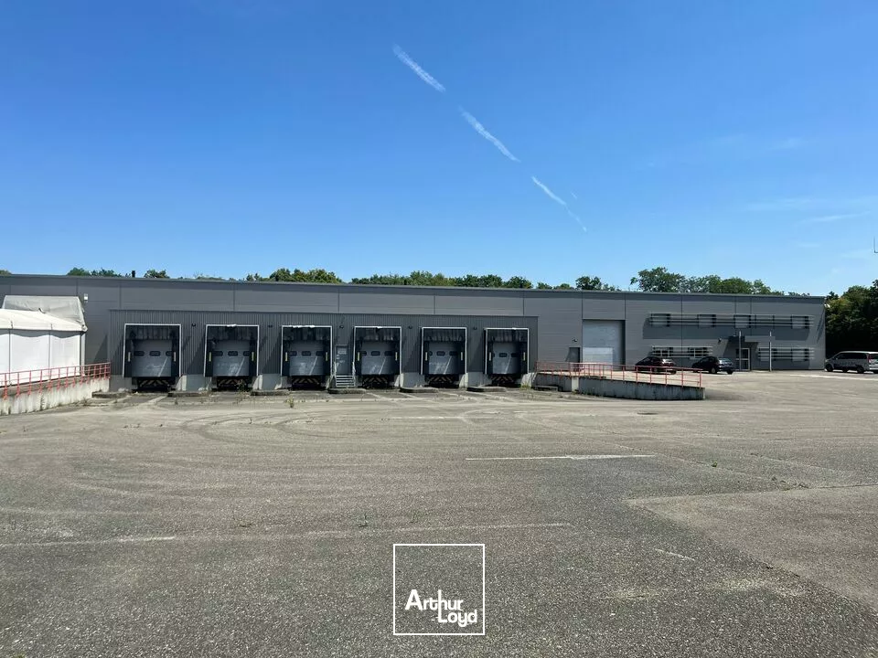 LOCAL D'ACTIVITE - ENTREPOT à LOUER de 4945 m²