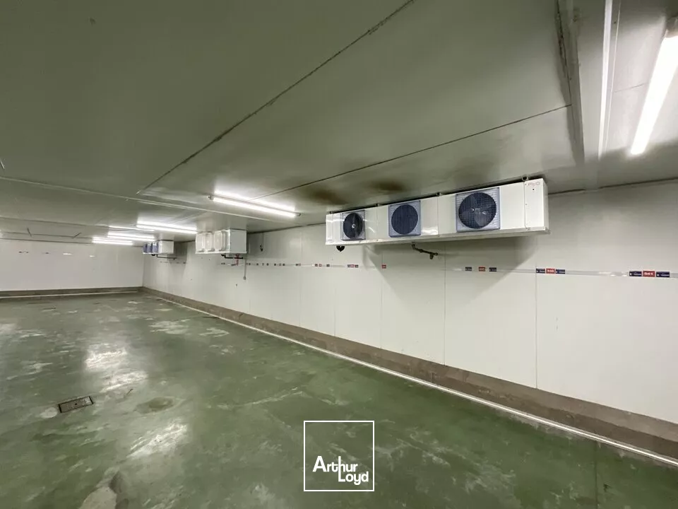 LOCAL D'ACTIVITE - ENTREPOT à LOUER de 490 m²