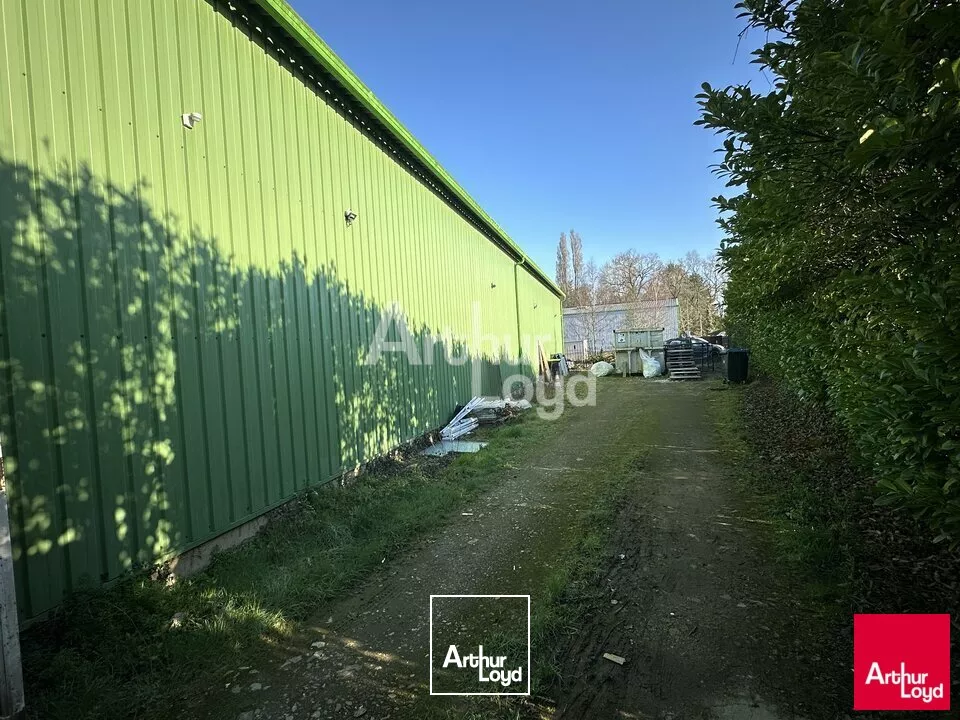 BETTON - LOCAL D'ACTIVITE A VENDRE - 450 M²