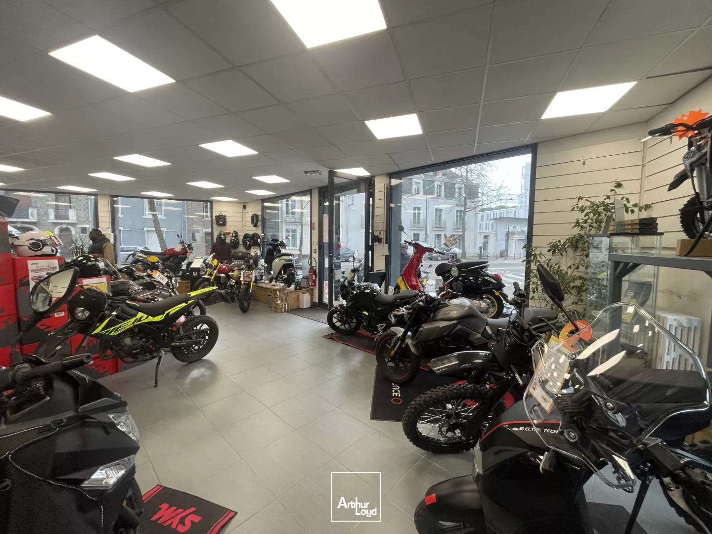 Local à louer ile de Nantes CHU - commerce stockage 400 m2