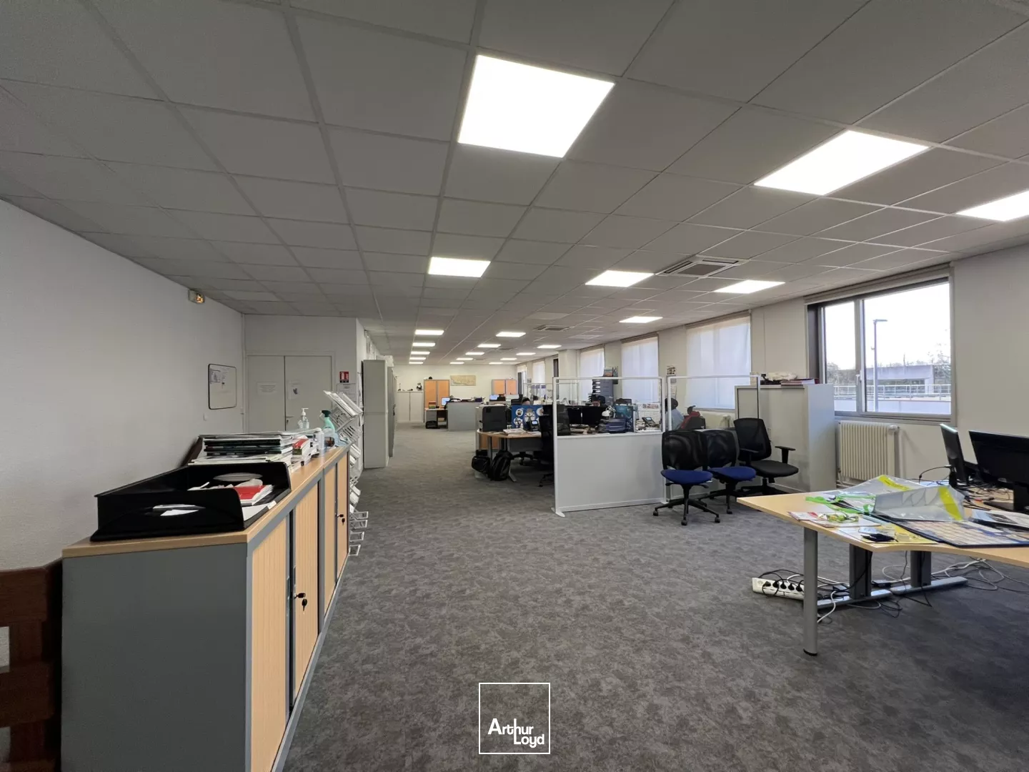 POUR LES AMATEURS DE VERDURE