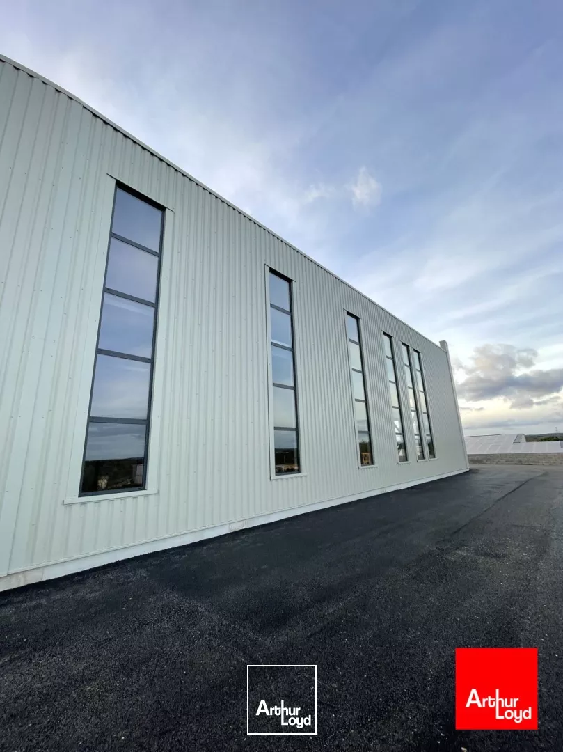 Local d'activité neufs à louer - Saint-Georges d'Orques