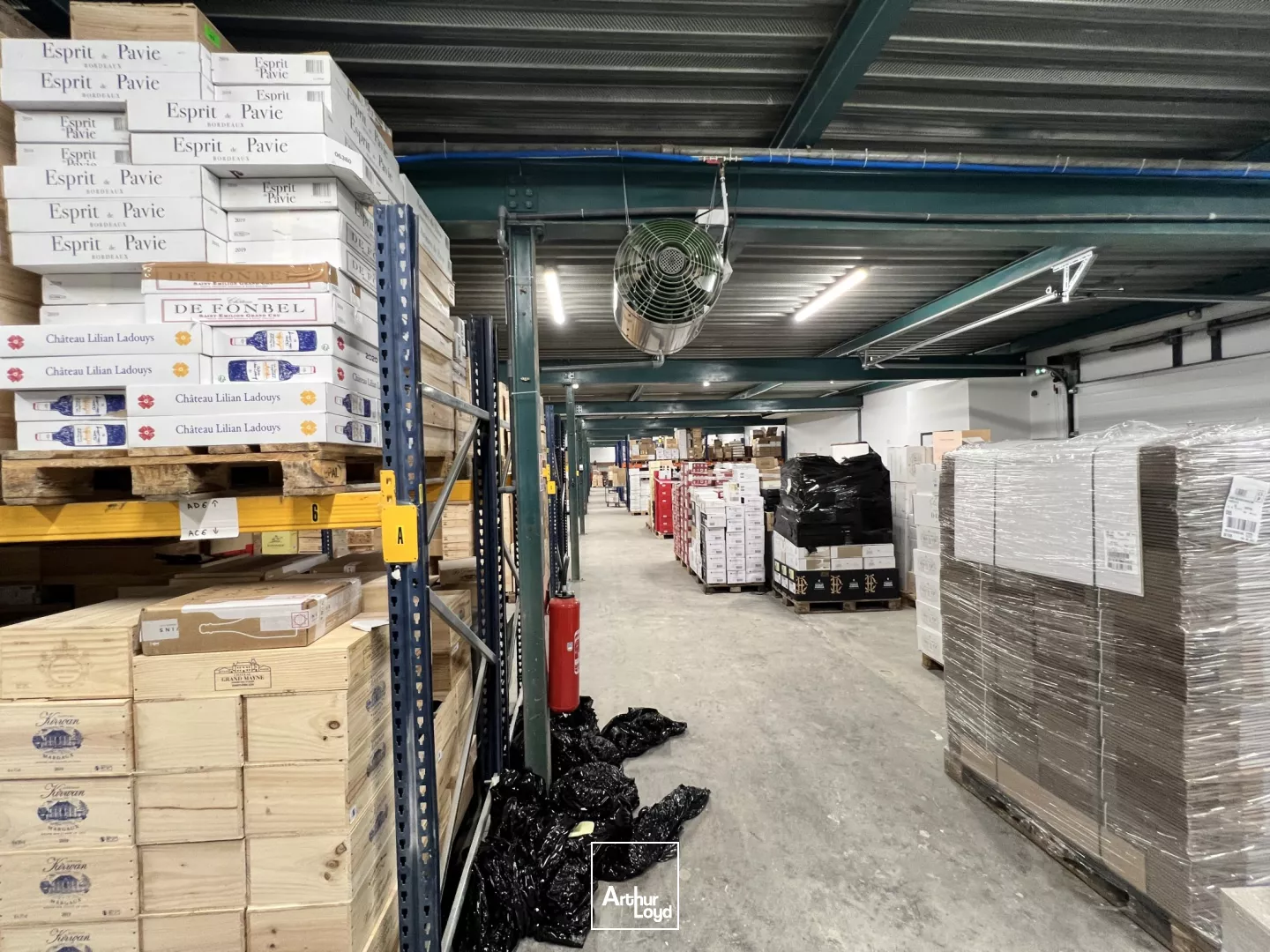 Local d'Activité - location - 1500 m² en ZI Nord d'Arles 