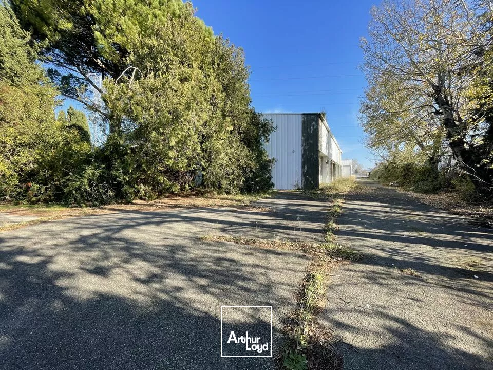 À Louer - Local d'activité - Zone d'Activité la Courtine, Avignon