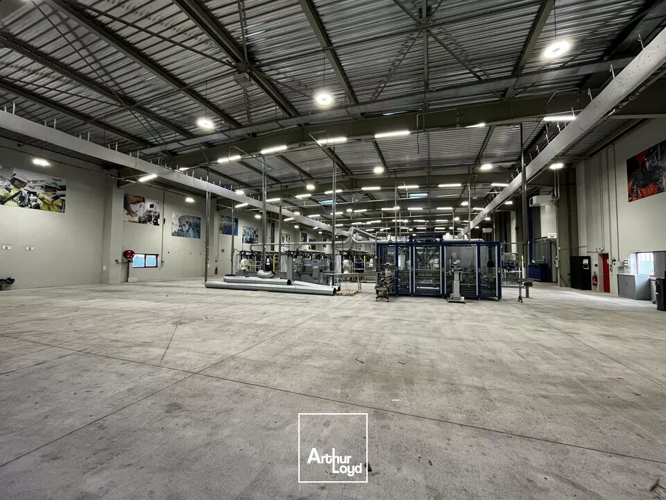 LOCAL D'ACTIVITE - ENTREPOT à LOUER de 3970 m²