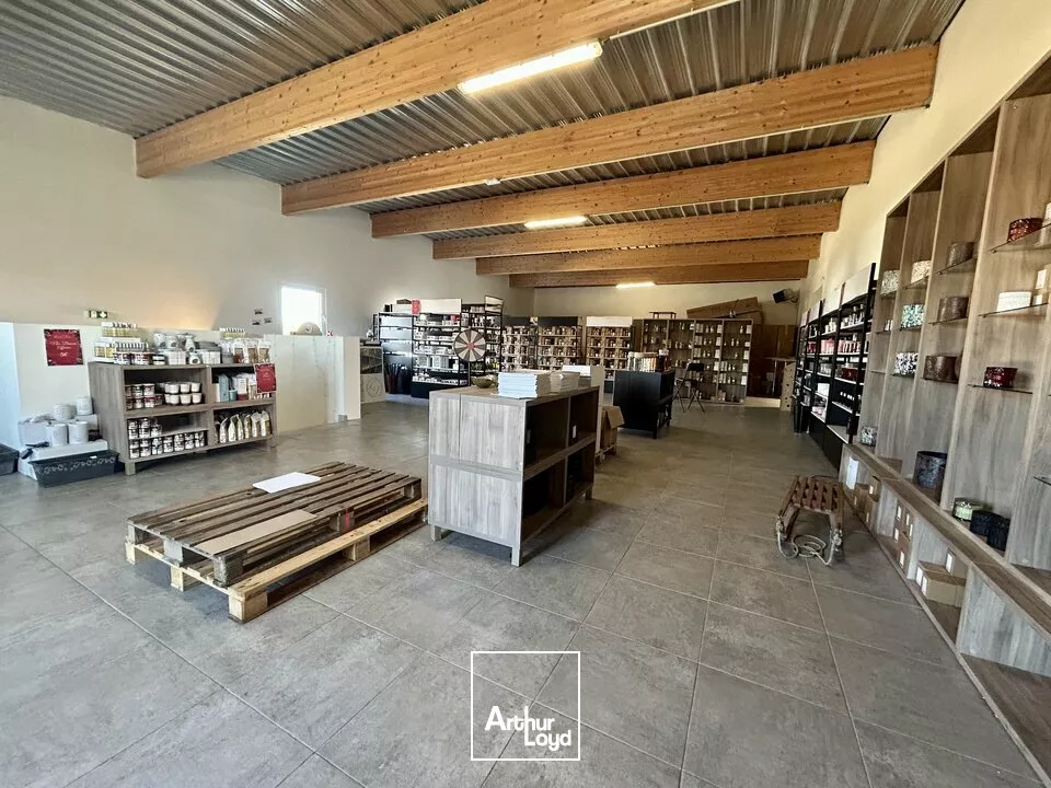 LOCAL D'ACTIVITE - ENTREPOT à VENDRE de 745 m²