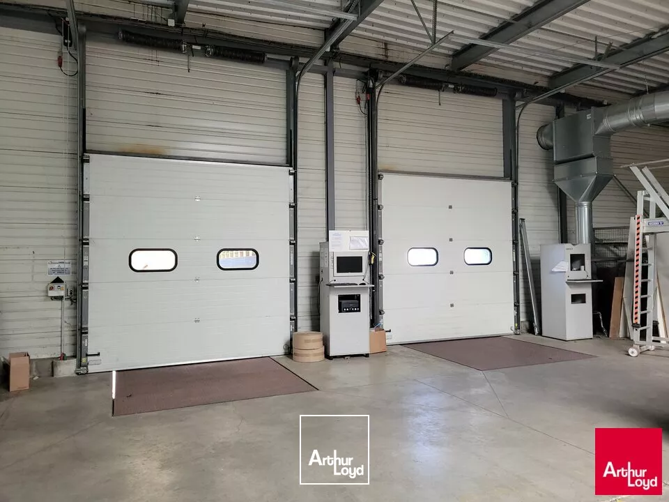 VENTE LOCAL ACTIVITE/INDUSTRIE 6117m² 