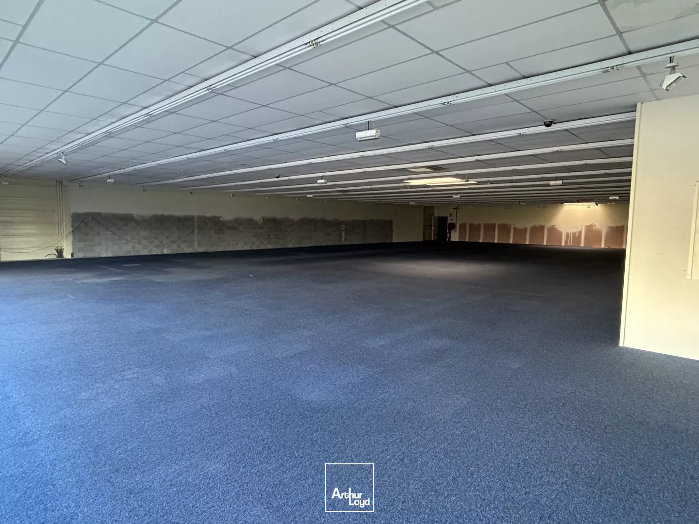 Local commercial à louer - Zone commerciale - Narbonne