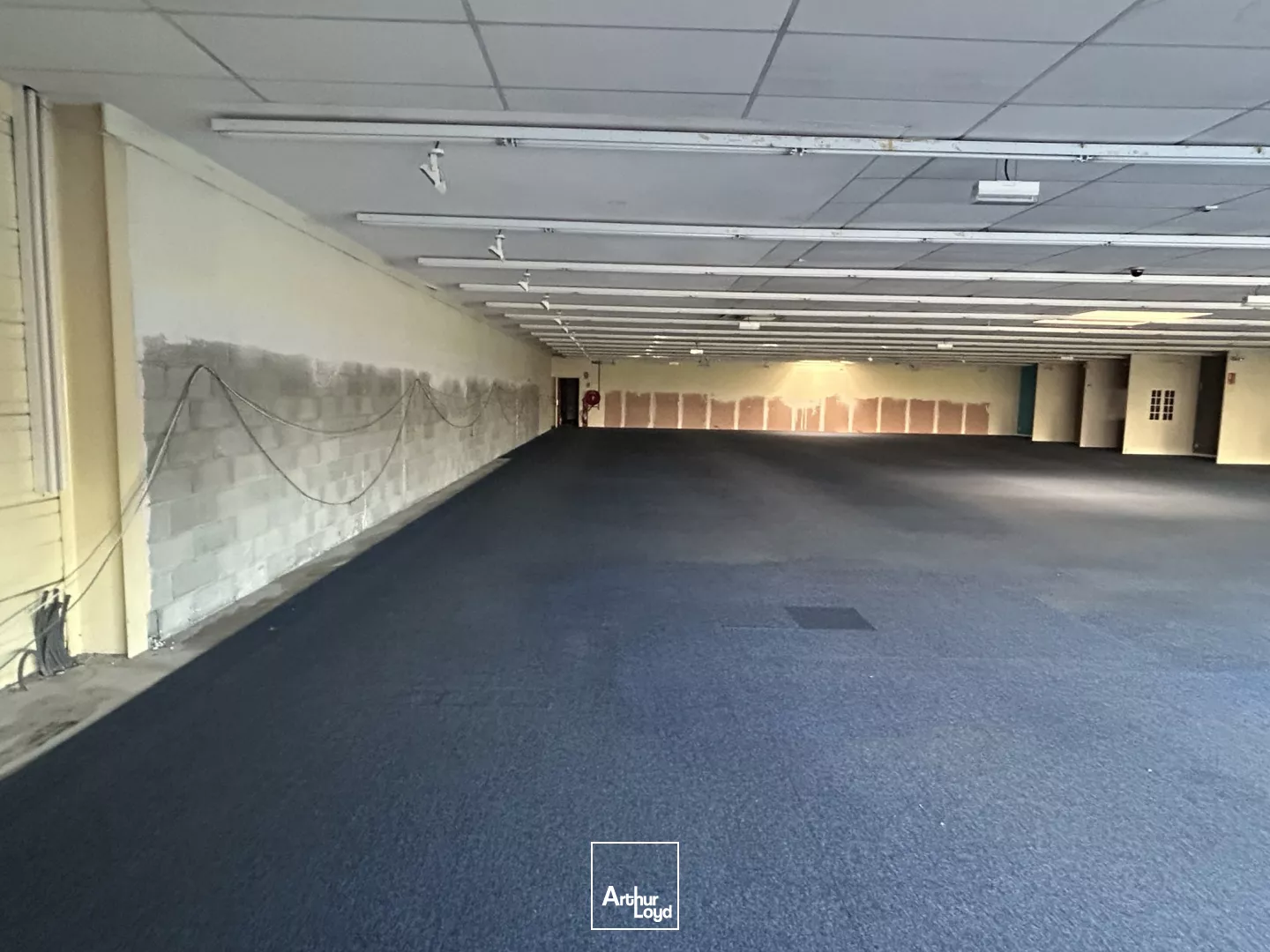 Local commercial à louer - Zone commerciale - Narbonne