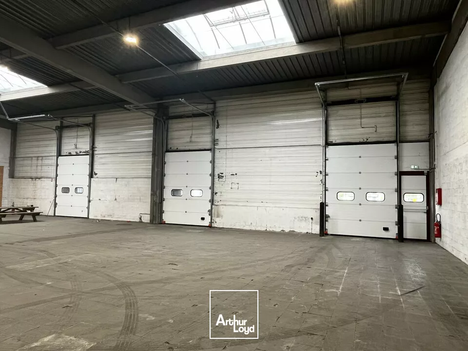 LOCAL D'ACTIVITE - ENTREPOT à LOUER de 1517 m²