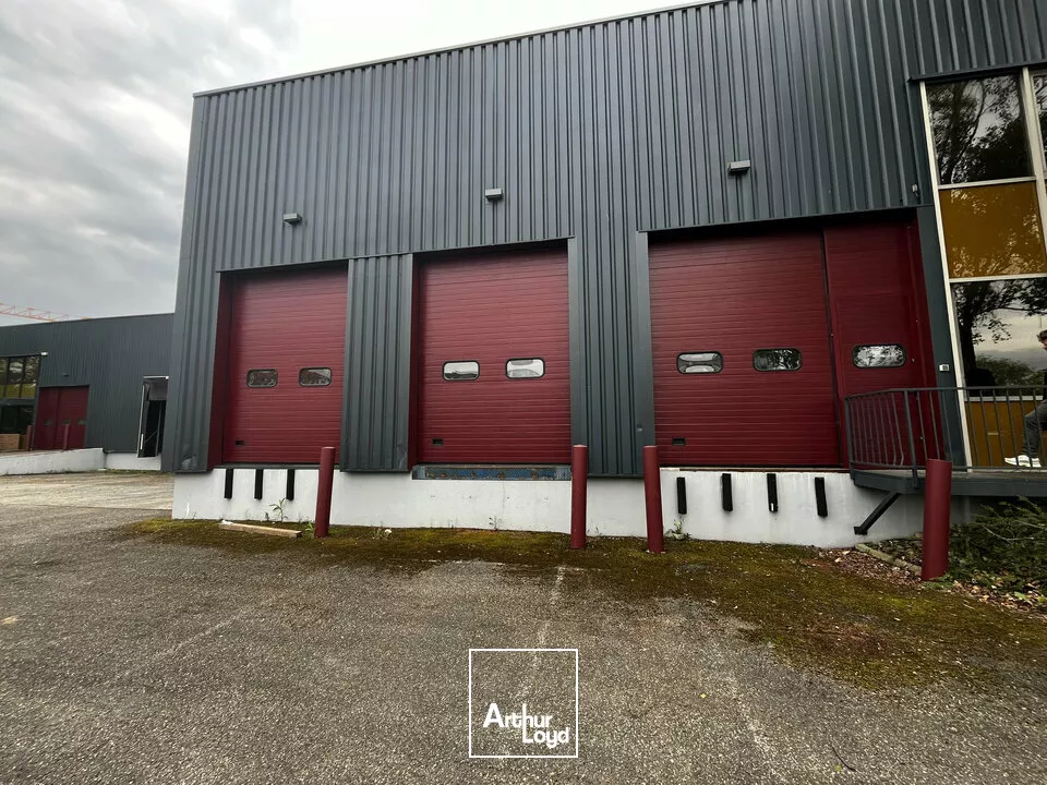 LOCAL D'ACTIVITE - ENTREPOT à LOUER de 1517 m²