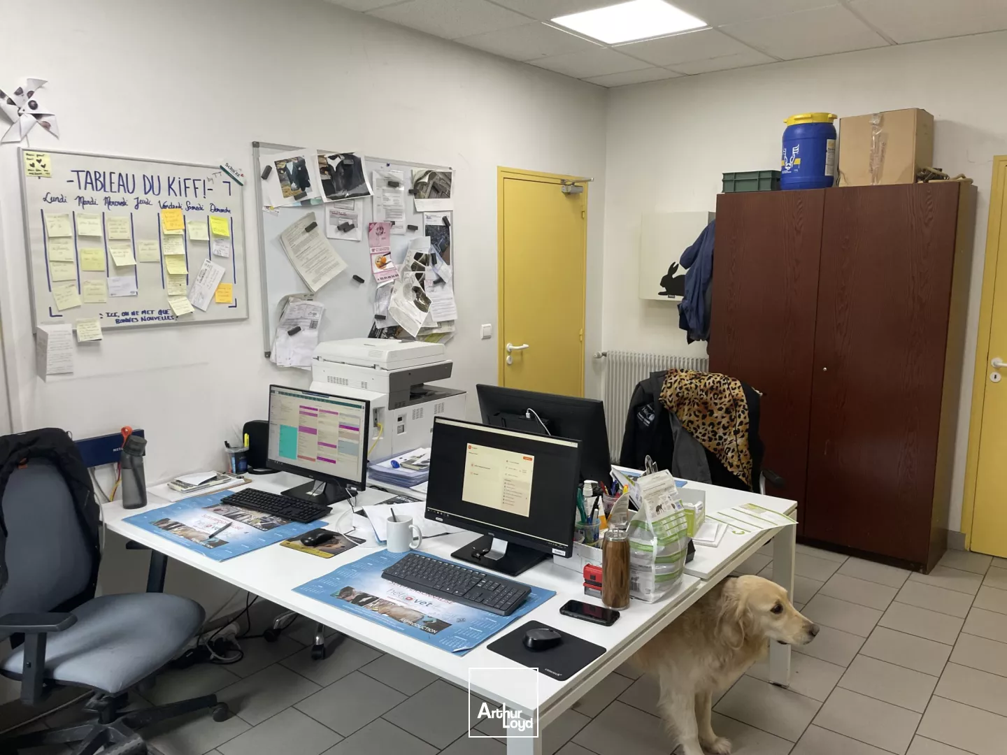 Commerce - 442m2 à vendre en zone commerciale de Crevecoeur-le-grand