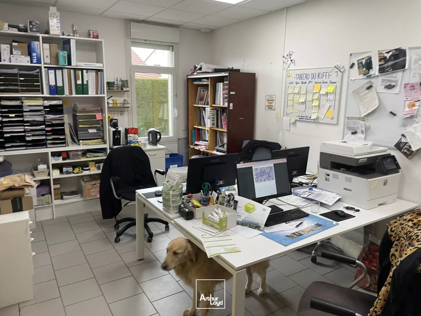 Commerce - 442m2 à vendre en zone commerciale de Crevecoeur-le-grand