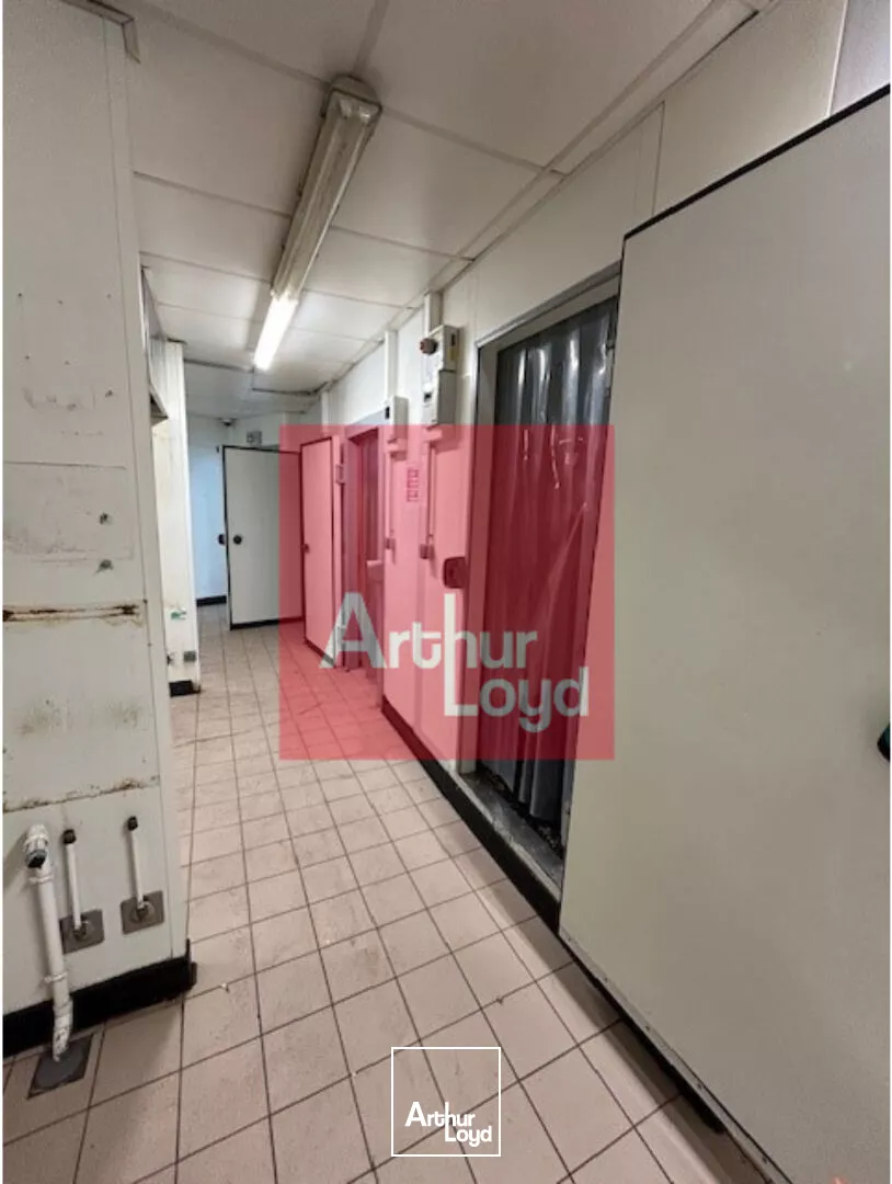 Local commercial Villeneuve Sur Lot 390 m2