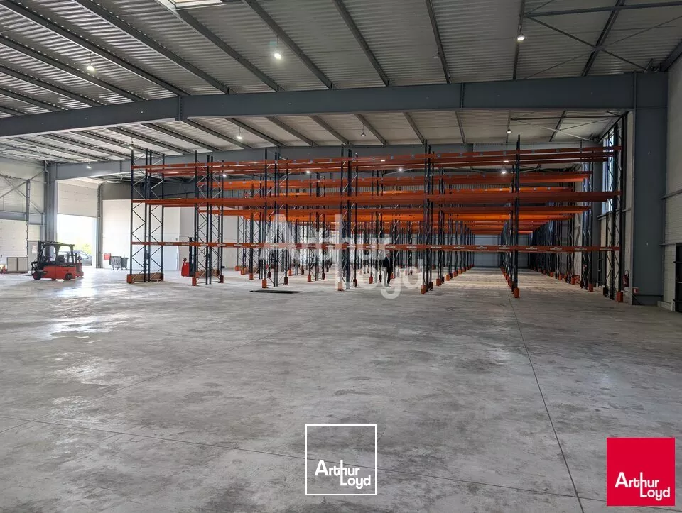 NOYAL CHATILLON SUR SEICHE - BATIMENT D'ACTIVITE A LOUER AVEC QUAIS - 3190 M²