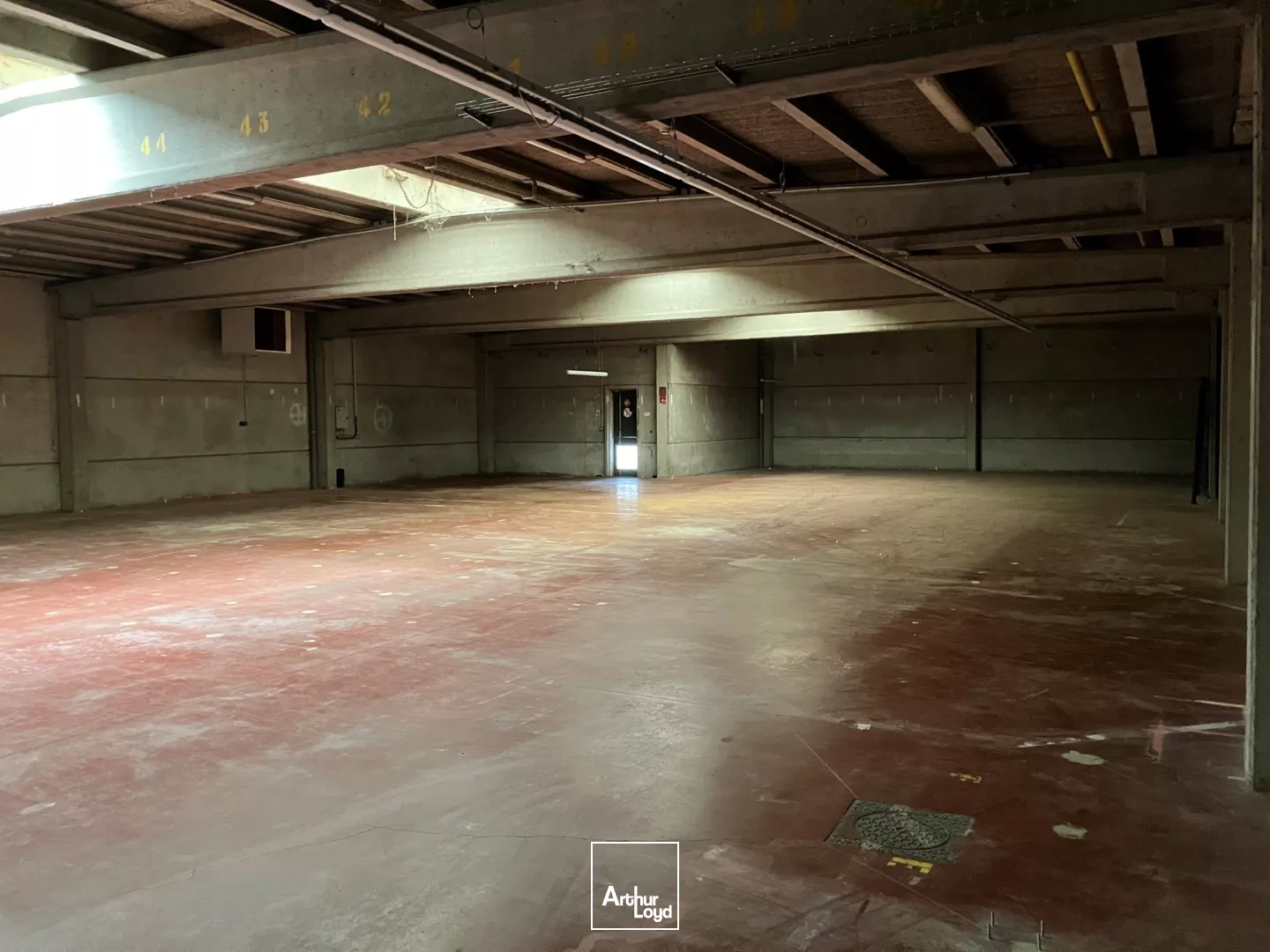 À LOUER - Local d'activité 2 000 m² avec quai et accès plain-pied - Axe stratégique métropole lilloise / Belgique