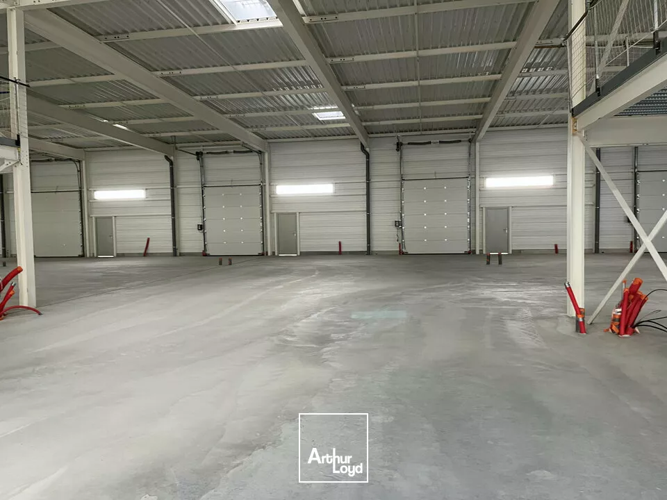 LOCAL D'ACTIVITE - ENTREPOT à LOUER de 516 m²