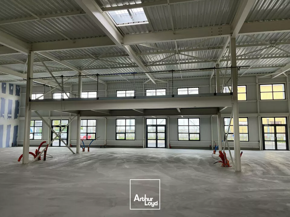 LOCAL D'ACTIVITE - ENTREPOT à LOUER de 516 m²