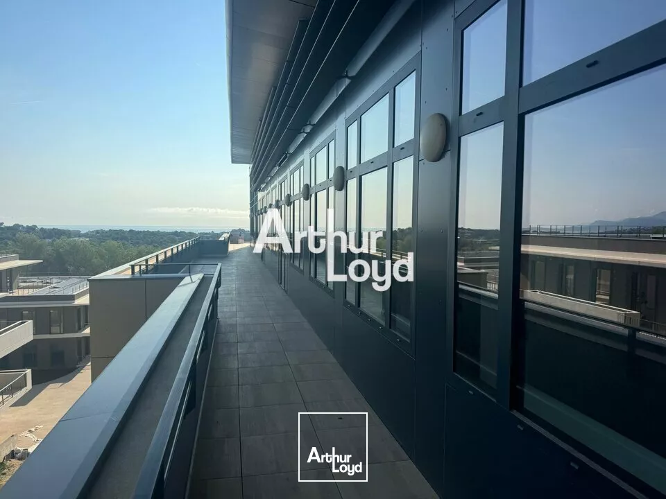 Location de bureaux neufs en BEFA - Sophia Antipolis 