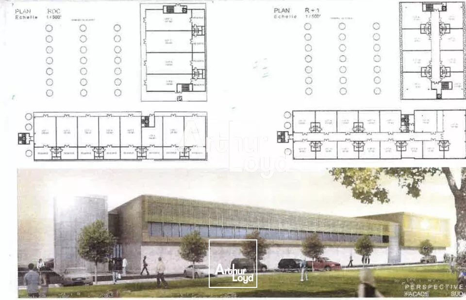 Bureaux à louer 2 503 m² divisibles à partir de 80 m² - Fréjus Capitou