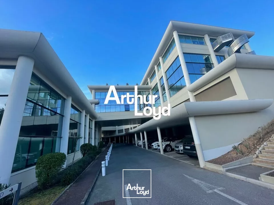 Bureaux rénovés à louer divisibles dès 184 m² - Sophia Antipolis 