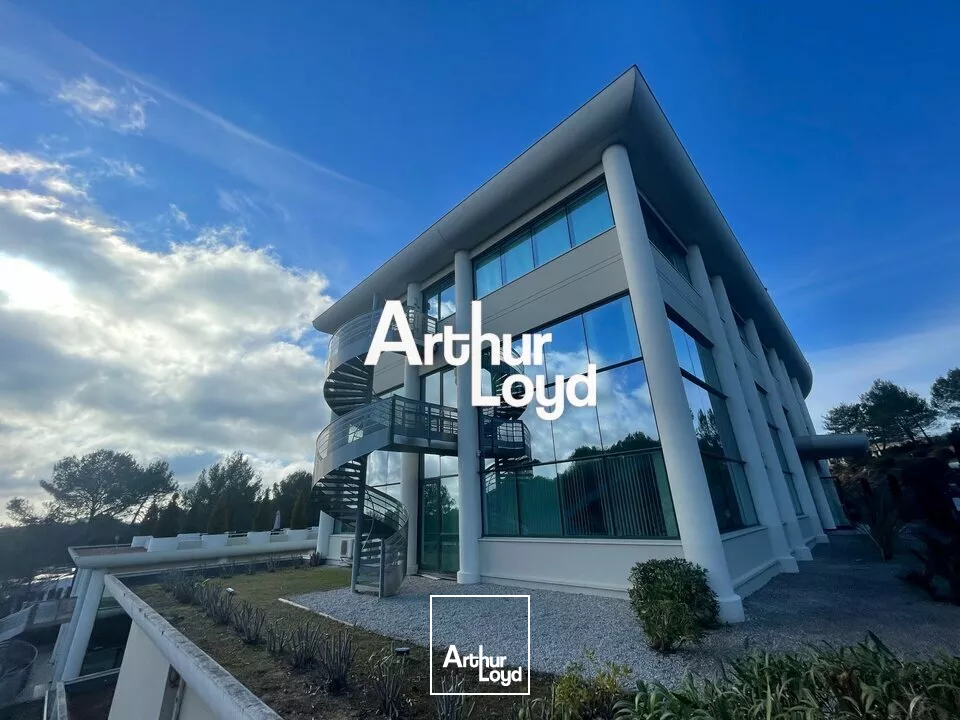 Bureaux rénovés à louer divisibles dès 184 m² - Sophia Antipolis 