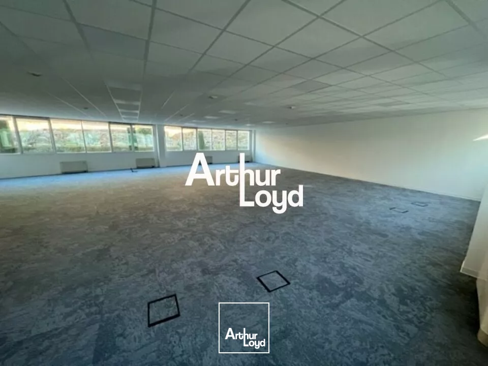 Bureaux rénovés à louer divisibles dès 184 m² - Sophia Antipolis 