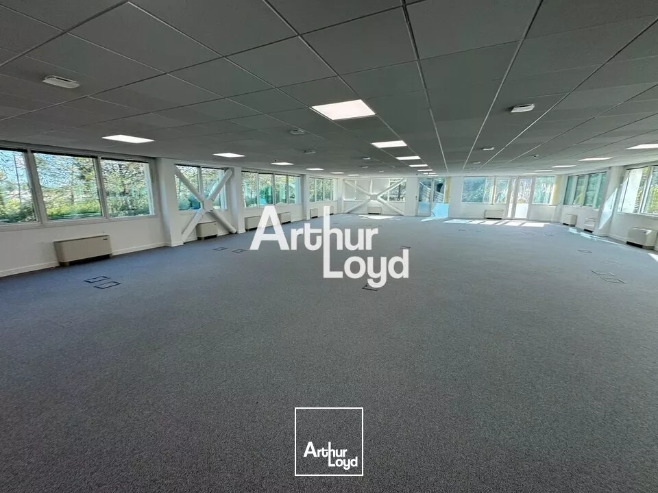 Bureaux rénovés à louer divisibles dès 184 m² - Sophia Antipolis 